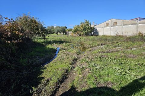 Helårsgrund i Castelo Branco, Castelo Branco, Castelo Branco - € 65.000 | Ref: C0434-01136 - foto 2
