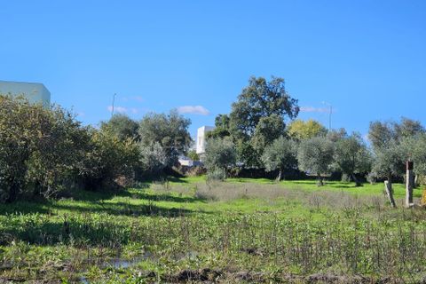 Helårsgrund i Castelo Branco, Castelo Branco, Castelo Branco - € 65.000 | Ref: C0434-01136 - foto 3
