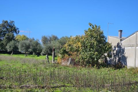 Helårsgrund i Castelo Branco, Castelo Branco, Castelo Branco - € 65.000 | Ref: C0434-01136 - foto 5