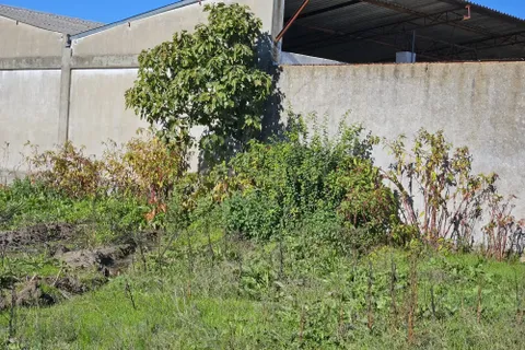 Helårsgrund i Castelo Branco, Castelo Branco, Castelo Branco - € 65.000 | Ref: C0434-01136 - foto 6