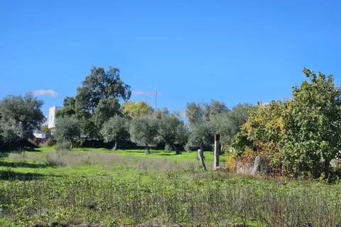 Helårsgrund i Castelo Branco, Castelo Branco, Castelo Branco - € 65.000 | Ref: C0434-01136 - foto 7