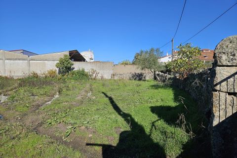 Helårsgrund i Castelo Branco, Castelo Branco, Castelo Branco - € 65.000 | Ref: C0434-01136 - foto 8