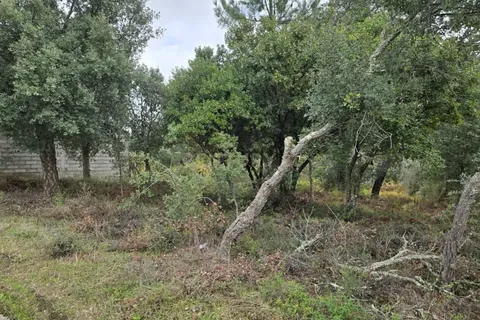 Helårsgrund i Serta, Castelo Branco, Serta - € 62.500 | Ref: C0434-01139 - foto 1