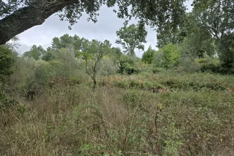 Helårsgrund i Serta, Castelo Branco, Serta - € 62.500 | Ref: C0434-01139 - foto 2
