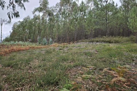 Helårsgrund i Serta, Castelo Branco, Serta - € 8.500 | Ref: C0434-01140 - foto 4