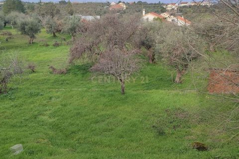 Helårsgrund i Castelo Branco, Castelo Branco, Castelo Branco - € 510.000 | Ref: C0434-01201 - foto 3