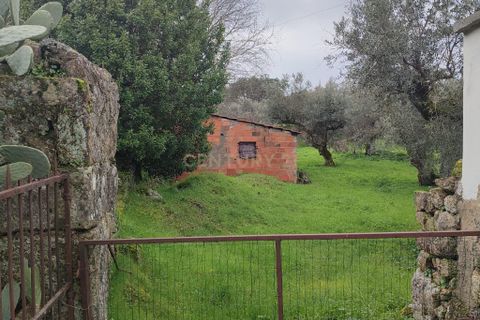 Helårsgrund i Castelo Branco, Castelo Branco, Castelo Branco - € 510.000 | Ref: C0434-01201 - foto 4