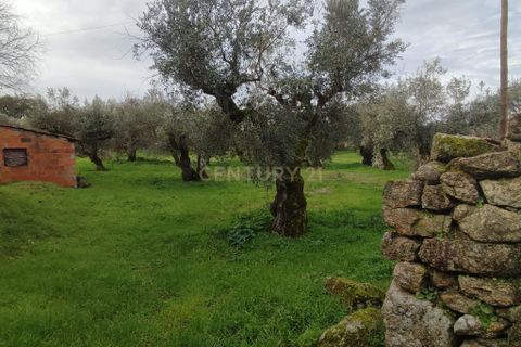 Helårsgrund i Castelo Branco, Castelo Branco, Castelo Branco - € 510.000 | Ref: C0434-01201 - foto 6