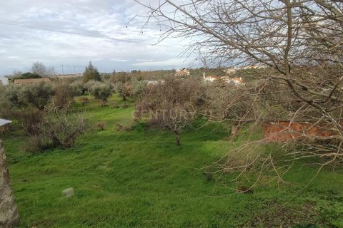 Helårsgrund i Castelo Branco, Castelo Branco, Castelo Branco - € 510.000 | Ref: C0434-01201 - foto 7