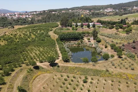 Farm hus i Covilha, Castelo Branco, Covilha - € 1.900.000 | Ref: C0434-00036 - foto 12