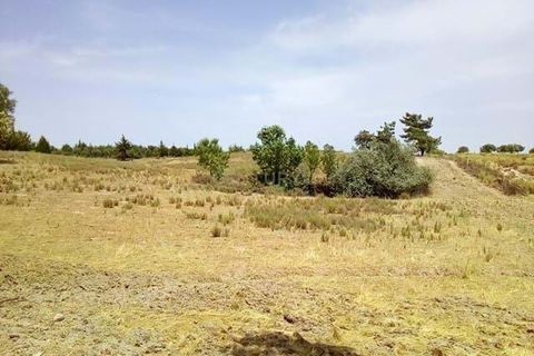Helårsgrund i Castelo Branco, Castelo Branco, Castelo Branco - € 326.000 | Ref: C0434-00176 - foto 2