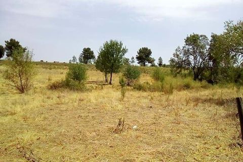 Helårsgrund i Castelo Branco, Castelo Branco, Castelo Branco - € 326.000 | Ref: C0434-00176 - foto 4