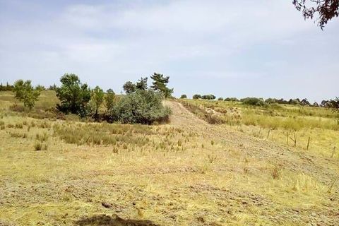 Helårsgrund i Castelo Branco, Castelo Branco, Castelo Branco - € 326.000 | Ref: C0434-00176 - foto 5