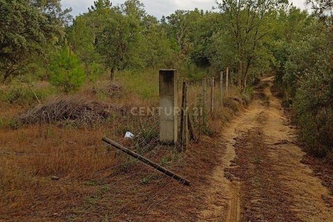 Helårsgrund i Castelo Branco, Castelo Branco, Castelo Branco - € 38.000 | Ref: C0434-00212 - foto 3