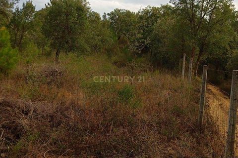 Helårsgrund i Castelo Branco, Castelo Branco, Castelo Branco - € 38.000 | Ref: C0434-00212 - foto 4
