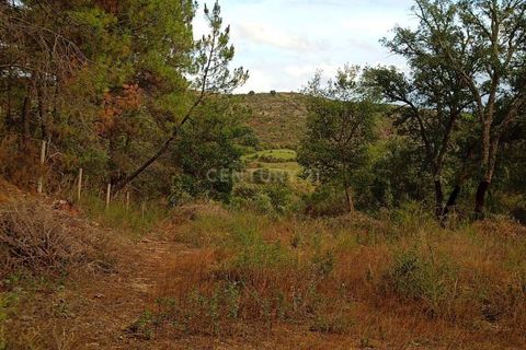 Helårsgrund i Castelo Branco, Castelo Branco, Castelo Branco - € 38.000 | Ref: C0434-00212 - foto 5