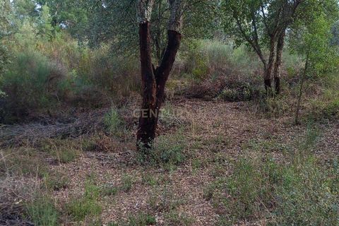 Helårsgrund i Castelo Branco, Castelo Branco, Castelo Branco - € 38.000 | Ref: C0434-00212 - foto 6
