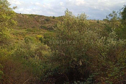 Helårsgrund i Castelo Branco, Castelo Branco, Castelo Branco - € 38.000 | Ref: C0434-00212 - foto 8