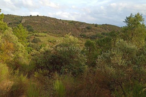 Helårsgrund i Castelo Branco, Castelo Branco, Castelo Branco - € 38.000 | Ref: C0434-00212 - foto 9
