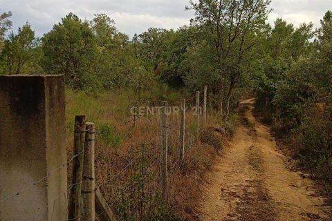 Helårsgrund i Castelo Branco, Castelo Branco, Castelo Branco - € 38.000 | Ref: C0434-00212 - foto 11