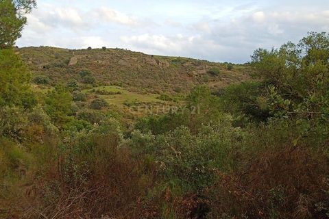 Helårsgrund i Castelo Branco, Castelo Branco, Castelo Branco - € 38.000 | Ref: C0434-00212 - foto 12