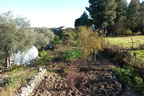 Farm hus i Castelo Branco, Castelo Branco, Castelo Branco - € 23.500 | Ref: C0434-00241 - foto 1