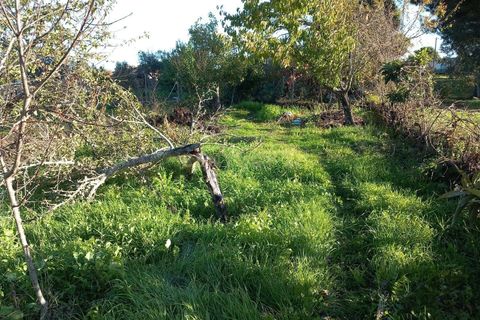 Farm hus i Castelo Branco, Castelo Branco, Castelo Branco - € 23.500 | Ref: C0434-00241 - foto 2