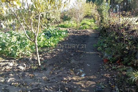 Farm hus i Castelo Branco, Castelo Branco, Castelo Branco - € 23.500 | Ref: C0434-00241 - foto 4