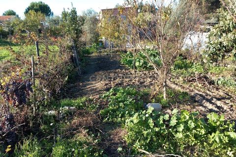 Farm hus i Castelo Branco, Castelo Branco, Castelo Branco - € 23.500 | Ref: C0434-00241 - foto 5