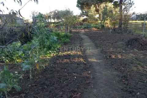 Farm hus i Castelo Branco, Castelo Branco, Castelo Branco - € 23.500 | Ref: C0434-00241 - foto 13