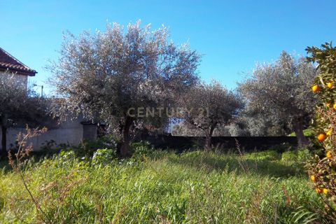 Helårsgrund i Castelo Branco, Castelo Branco, Castelo Branco - € 18.000 | Ref: C0434-00293 - foto 2
