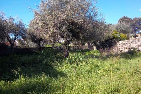 Helårsgrund i Castelo Branco, Castelo Branco, Castelo Branco - € 18.000 | Ref: C0434-00293 - foto 3