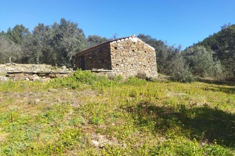 Helårsgrund i Castelo Branco, Castelo Branco, Castelo Branco - € 15.750 | Ref: C0434-00296 - foto 3