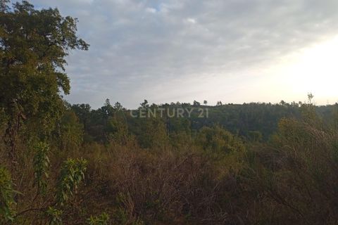 Helårsgrund i Castelo Branco, Castelo Branco, Castelo Branco - € 7.000 | Ref: C0434-00303 - foto 2
