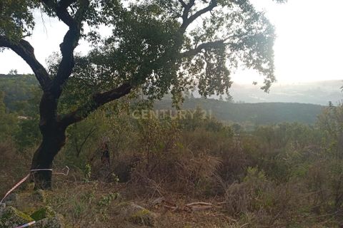 Helårsgrund i Castelo Branco, Castelo Branco, Castelo Branco - € 7.000 | Ref: C0434-00303 - foto 4