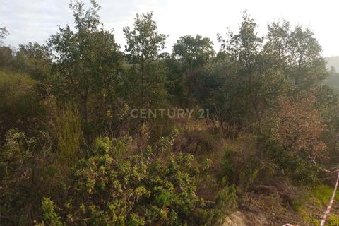 Helårsgrund i Castelo Branco, Castelo Branco, Castelo Branco - € 7.000 | Ref: C0434-00303 - foto 5