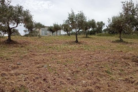 Helårsgrund i Castelo Branco, Castelo Branco, Castelo Branco - € 45.000 | Ref: C0434-00401 - foto 1
