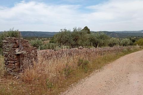 Helårsgrund i Castelo Branco, Castelo Branco, Castelo Branco - € 45.000 | Ref: C0434-00401 - foto 2
