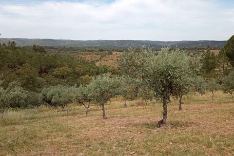 Helårsgrund i Castelo Branco, Castelo Branco, Castelo Branco - € 45.000 | Ref: C0434-00401 - foto 3