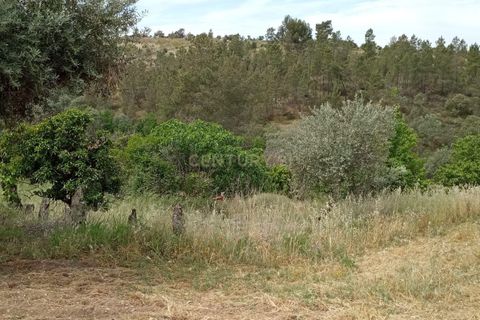 Helårsgrund i Castelo Branco, Castelo Branco, Castelo Branco - € 45.000 | Ref: C0434-00401 - foto 5