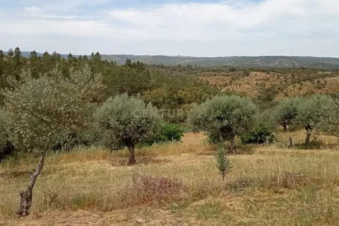 Helårsgrund i Castelo Branco, Castelo Branco, Castelo Branco - € 45.000 | Ref: C0434-00401 - foto 7