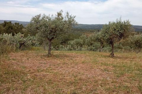 Helårsgrund i Castelo Branco, Castelo Branco, Castelo Branco - € 45.000 | Ref: C0434-00401 - foto 10