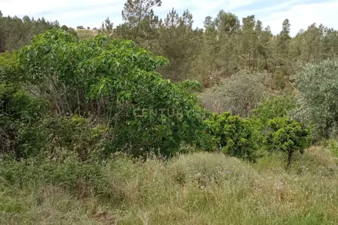 Helårsgrund i Castelo Branco, Castelo Branco, Castelo Branco - € 45.000 | Ref: C0434-00401 - foto 12