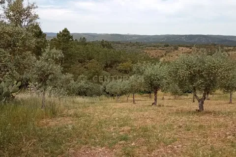 Helårsgrund i Castelo Branco, Castelo Branco, Castelo Branco - € 45.000 | Ref: C0434-00401 - foto 18