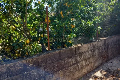 Villa a Amieira, Castelo Branco, Amieira - € 52.500 | Ref: C0434-00721 - foto 22