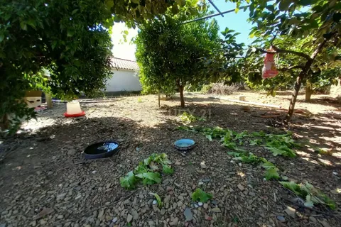 Villa a Amieira, Castelo Branco, Amieira - € 52.500 | Ref: C0434-00721 - foto 24