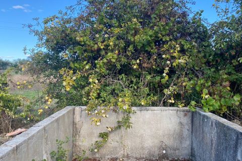 Helårsgrund i Castelo Branco, Castelo Branco, Castelo Branco - € 55.000 | Ref: C0434-00543 - foto 8