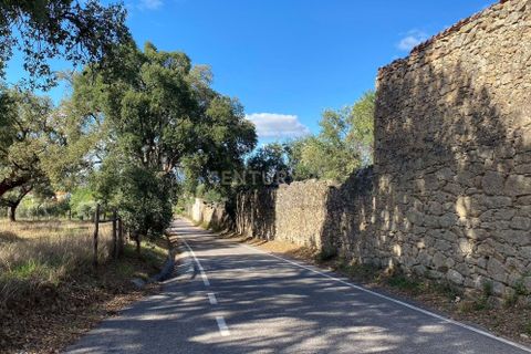 Helårsgrund i Castelo Branco, Castelo Branco, Castelo Branco - € 55.000 | Ref: C0434-00543 - foto 9