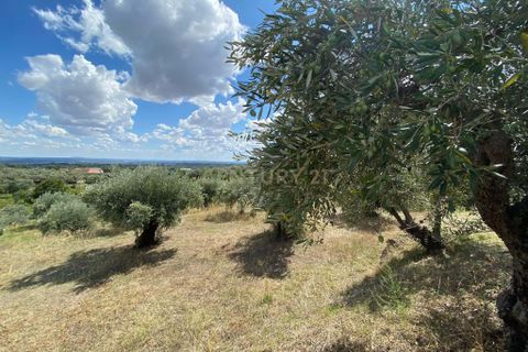 Tomt i Fundao, Castelo Branco, Fundao - € 300 000 | Ref: C0434-00552 - foto 4