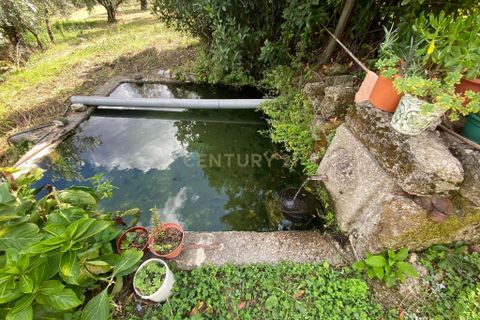 Tomt i Fundao, Castelo Branco, Fundao - € 300 000 | Ref: C0434-00552 - foto 10